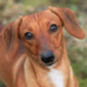 Meet your Posher, Maddie